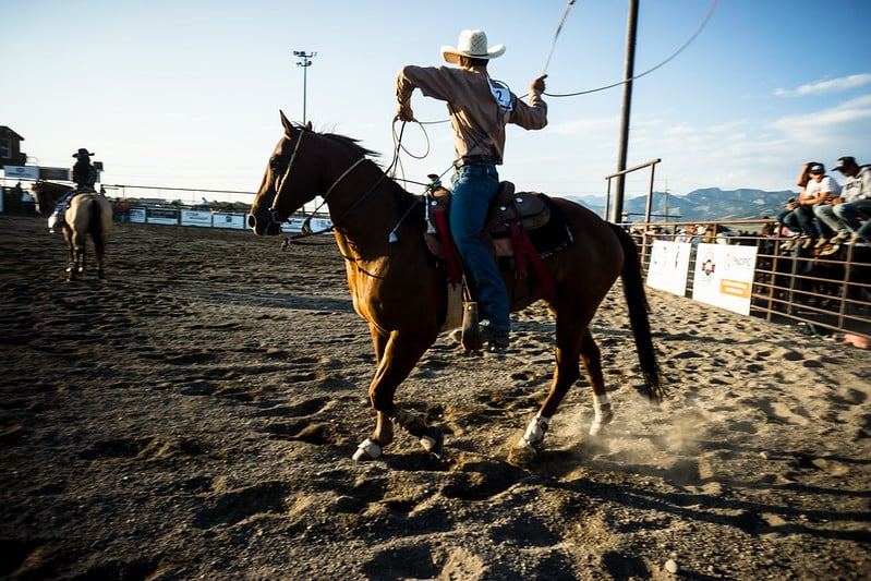 bozeman-rodeo