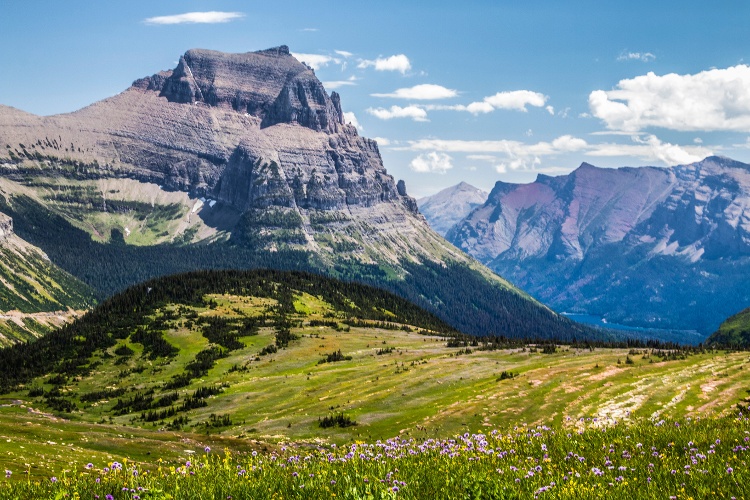 logan-pass-1