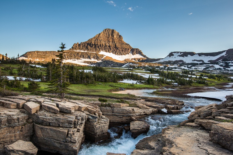 logan-pass-2-1