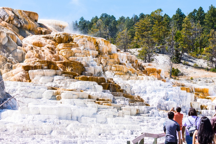 mammoth-hot-springs-1