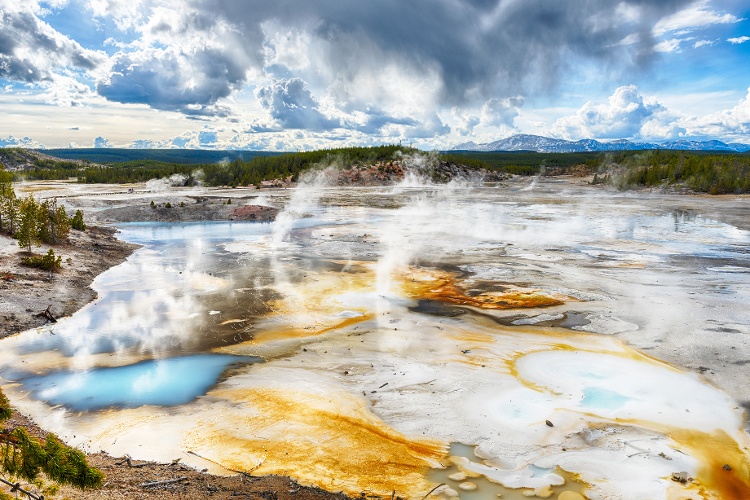 The Norris Geyser Basin in Yellowstone National Park.