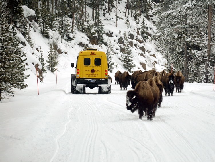 yellowstone-snowcoach-1