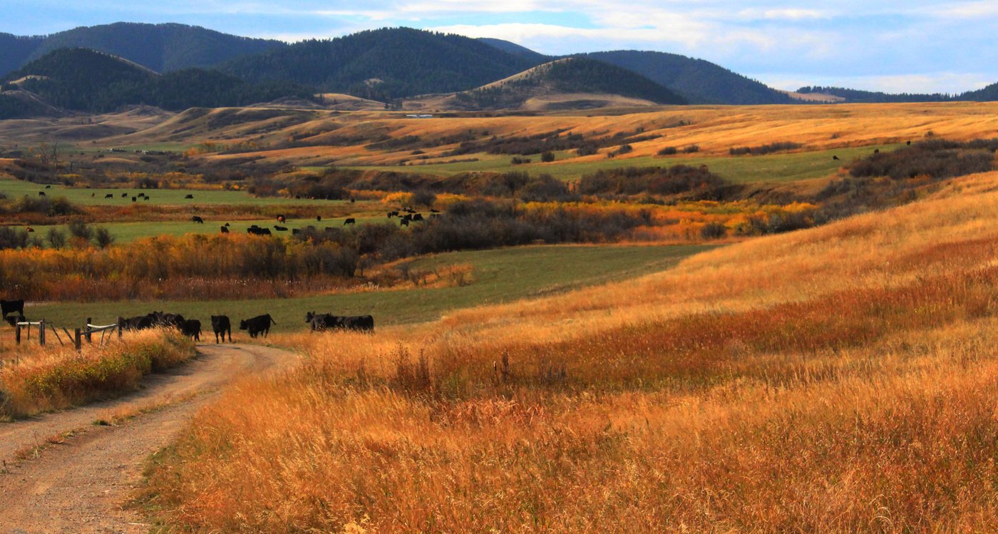 North of Lewistown, Montana